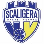 Logo Tezenis Verona